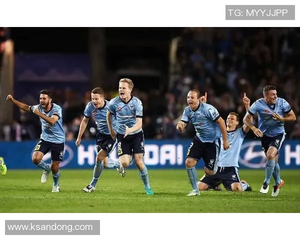 悉尼FC与中央海岸的精彩对决比分揭晓，赛季焦点战役回顾