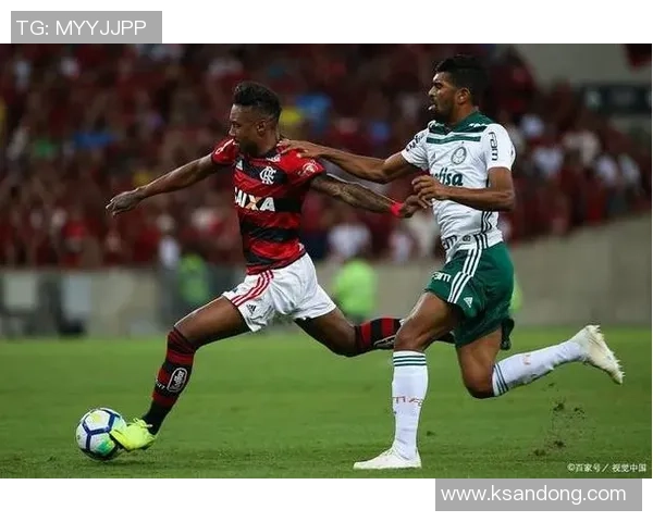 累西腓体育在新赛季的表现分析与未来发展展望